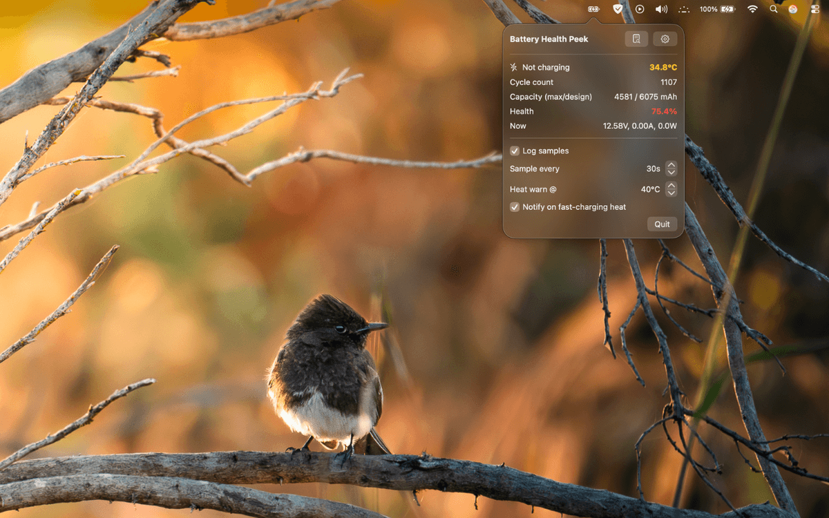 A screenshot of the BatteryPeek menubar app.